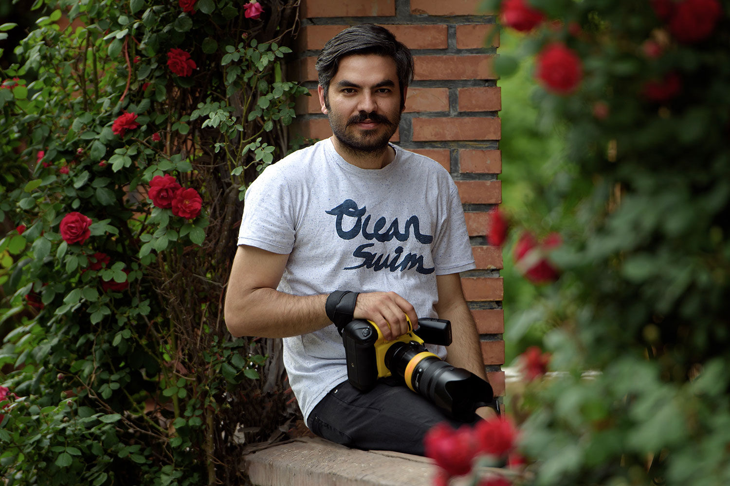 Bokeh photo studio Morteza Naghdian